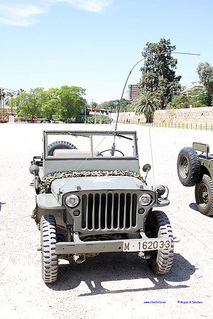 MuseoVivo2014011