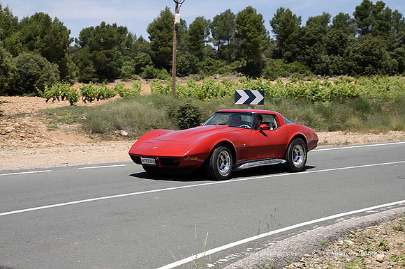 VIIConcentracionUtiel513