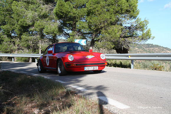 RallyTuris296