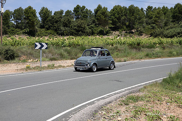 VIIConcentracionUtiel484