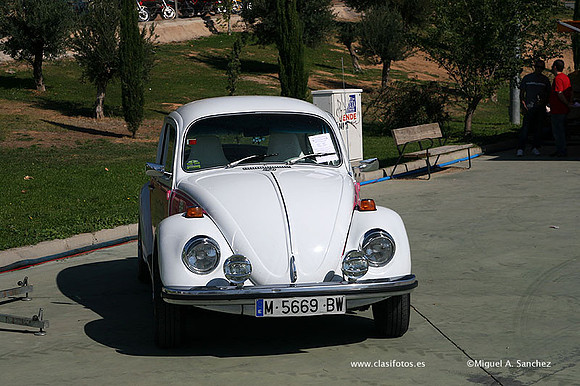 FVCP2009238