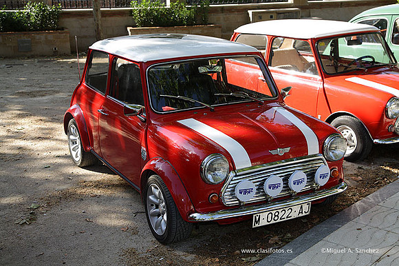 VIIConcentracionUtiel012