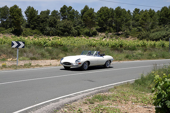 VIIConcentracionUtiel590