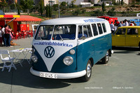 FVCP2009004