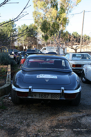 XRallyeEnero447