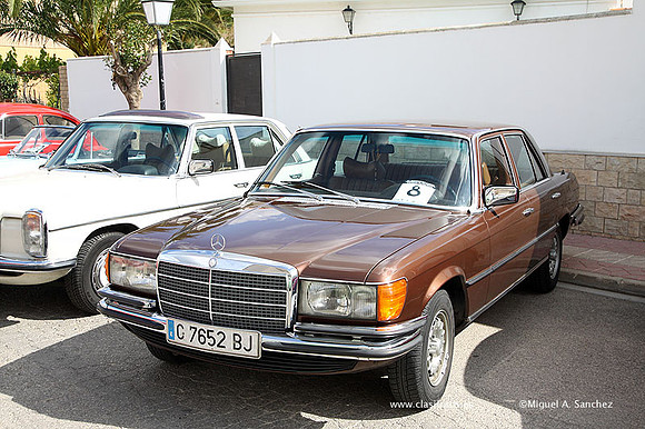 IVConcentracionYatova013