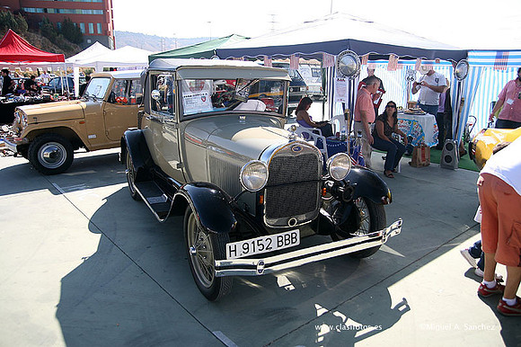 FVCP2009184