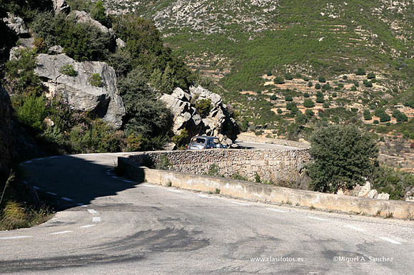 IVRallyTuris0330