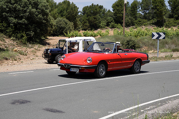 VIIConcentracionUtiel517