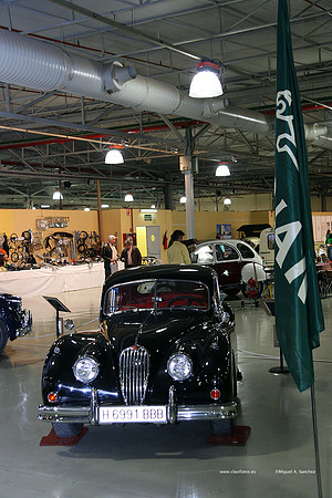 AnticAuto2009130