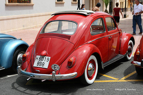 IVConcentracionciudaddeGandia0075