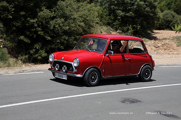 VIIConcentracionUtiel561