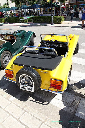 IConcentracionMacastre081