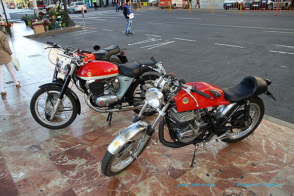 IIUrbanoSolidario053