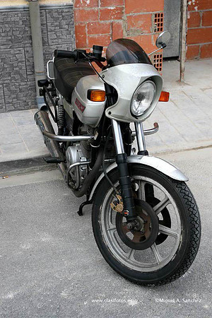 Rotova2008003