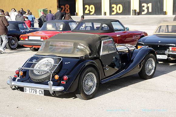 8JornadasEducacionEspecial090