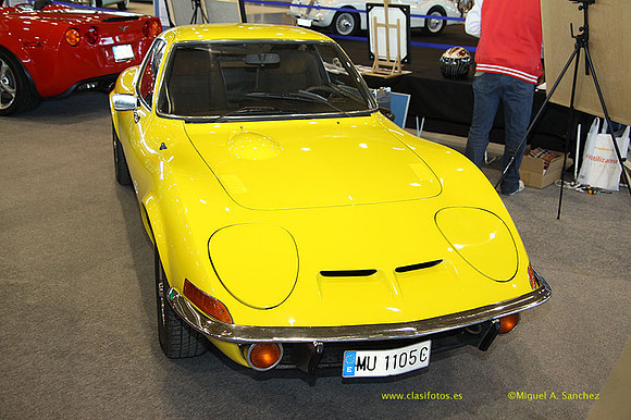 AnticAuto_2013139