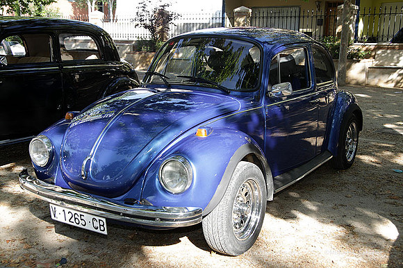 VIIConcentracionUtiel042