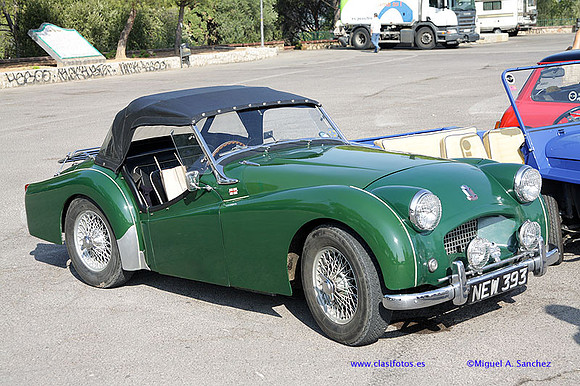IVConcAlzira115