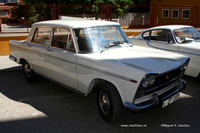 Chiva020