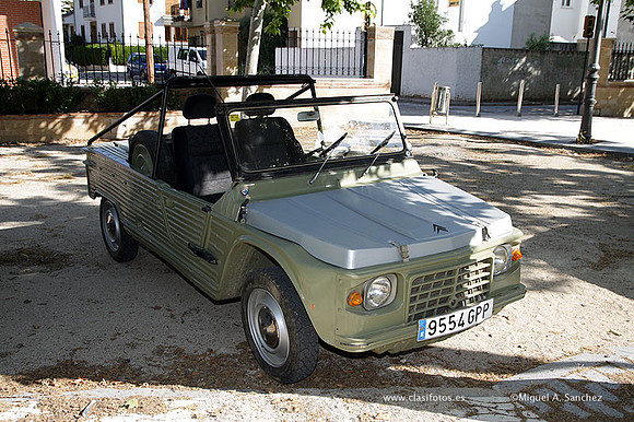 VIIConcentracionUtiel061