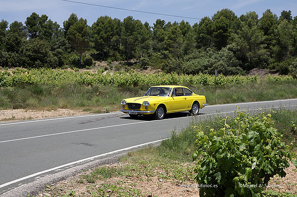 VIIConcentracionUtiel529