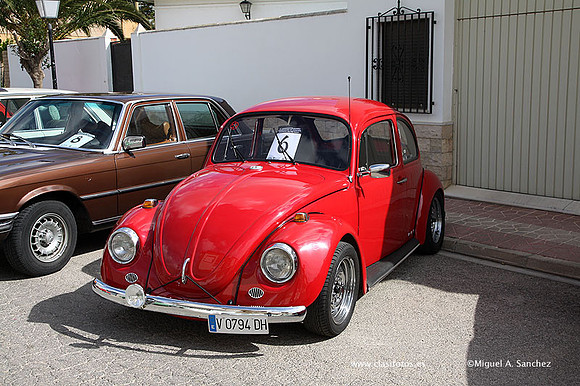 IVConcentracionYatova014