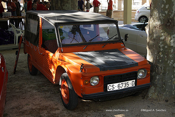 VIIConcentracionUtiel024