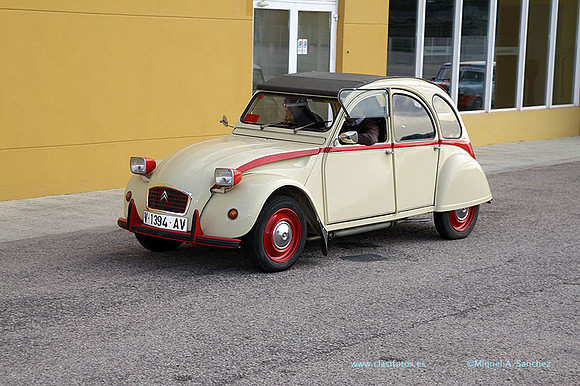 8JornadasEducacionEspecial195