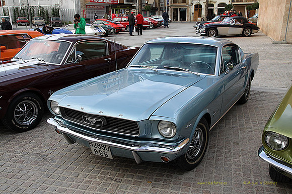 XConcentracionTorrente034