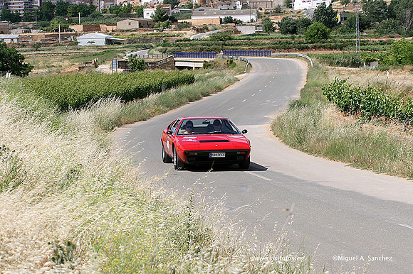 RallyUtiel2009176