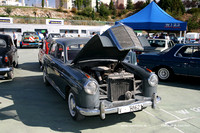 FVCP2009021
