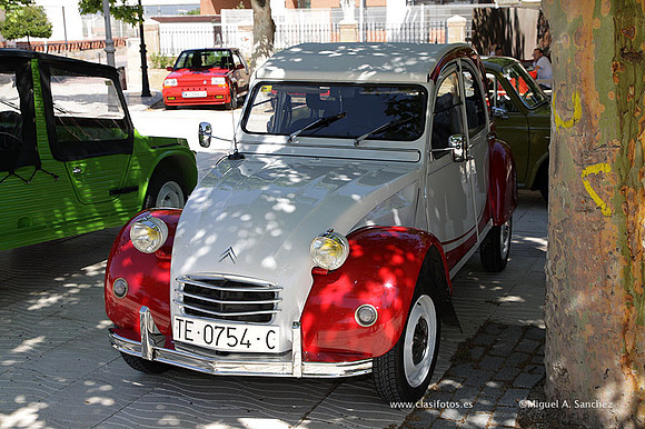 VIIConcentracionUtiel185