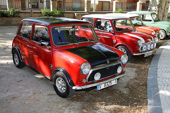 VIIConcentracionUtiel013