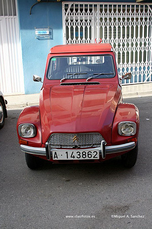 Beniganim113