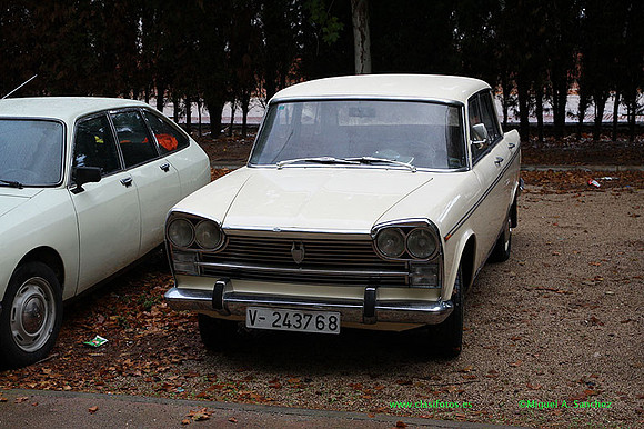 VIIIConcentracionUtiel061
