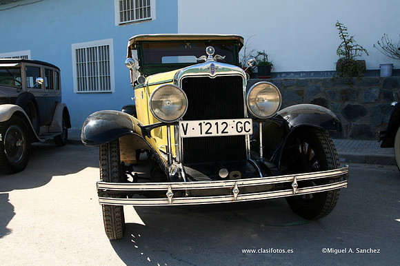 Rotova012