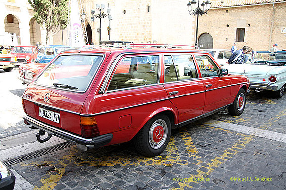VIIConcGandia020