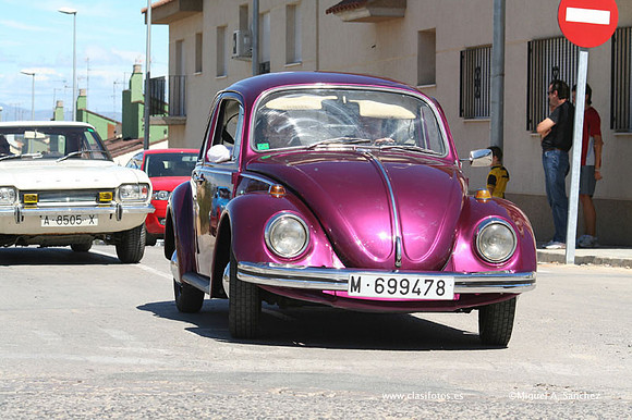 Chiva196