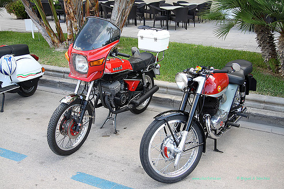 IIConcMoraira053
