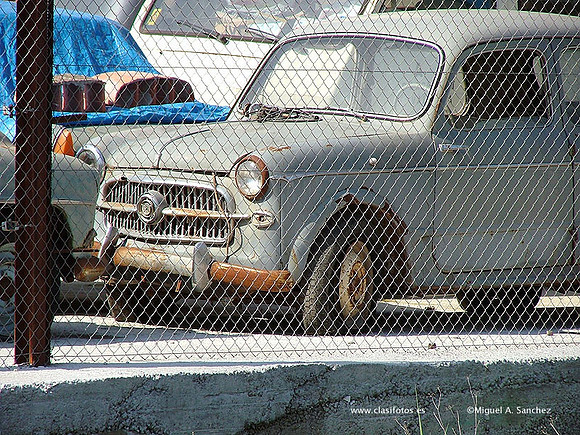 DSCF0654
