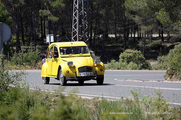 VIIConcentracionUtiel235