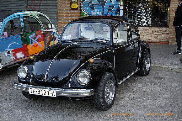 ConcentracionOrriols2013_054
