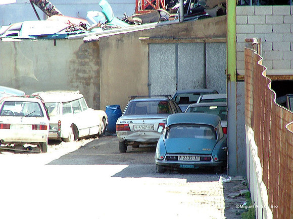 DSCF1413
