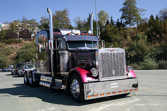 FVCP2009199