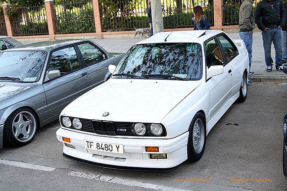 ConcentracionOrriols2013_045