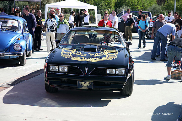 FVCP2009185