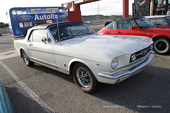 8JornadasEducacionEspecial033