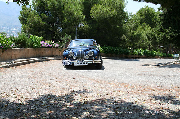 ConcentracionDenia2006153