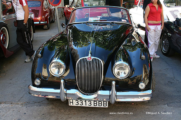 Chiva129